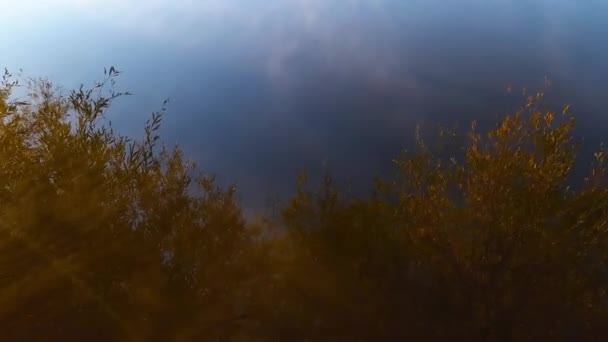 Auftretender Nebel Über Dem Wasser Seeufer — Stockvideo