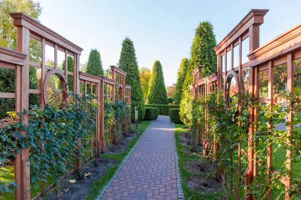 Sentiero Del Giardino Pavimentato Con Piastrelle Con Piante Rampicanti Sulle — Foto Stock