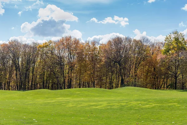 Nieco Pagórkowaty Trawnik Przyciętą Zieloną Trawą Lasem Liściastym Tle Jesiennym — Zdjęcie stockowe