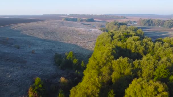 Ивы Долине Склоны Покрыты Инеем Вид Воздуха — стоковое видео