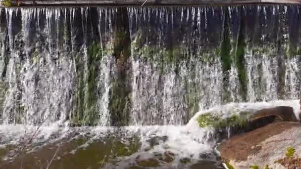 Sztuczny Wodospad Utworzony Przez Betonową Tamę Rzece — Wideo stockowe
