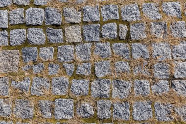 Yaya yolu, gri granitten yapılmış kare kiremitlerle döşenmiş pürüzlü kenarlar, yosun ve kuru otlar aralıklarla, üst görünüm 
