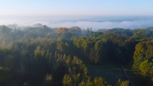 Воздушный Вид Старого Парка Туманное Осеннее Утро — стоковое видео