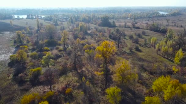 Łąki Zalewowe Rzadko Rosnącymi Drzewami Wzdłuż Rzeki Widok Powietrza — Wideo stockowe