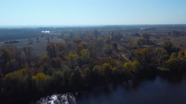 ほとんど成長していない木々と洪水の牧草地次の川 空中ビュー — ストック動画