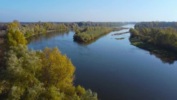 Rivier Met Oevers Eiland Begroeid Met Bomen Uitzicht Vanuit Lucht — Stockvideo