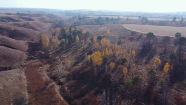秋天的山谷 山坡上有陡峭的峡谷 空中风景 — 图库视频影像