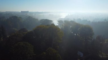 Sis dolu bir sonbahar sabahı nehir kenarında park et, hava manzaralı.