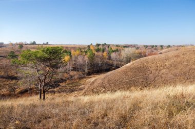 Vadinin dik yamaçları tek çam ağaçları ve yaprak döken ağaçlarla kaplıydı ve sonbahar güneşli günlerinde uzun solmuş çimlerle kaplıydı.