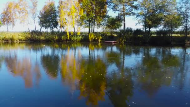 Sjön Med Vass Och Träd Stranden Höstparken — Stockvideo