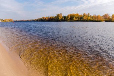 Kumlu kıyıları olan geniş bir nehir ve sonbaharda karşı kıyıda parlak sarı yaprakları olan ağaçlar.