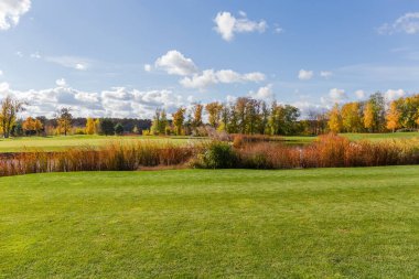 Çimleri budanmış yeşil çimenler ve kıyıları yükselmiş sazlıklar ile birlikte sonbahar parkında gökyüzüne karşı.