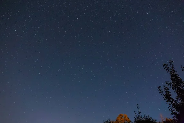 Sekce Noční Oblohy Souhvězdími Ursa Major Ursa Minor Nad Severní — Stock fotografie