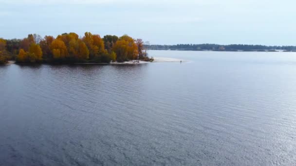 Rivier Met Eiland Begroeid Met Bos Herfst Uitzicht Vanuit Lucht — Stockvideo