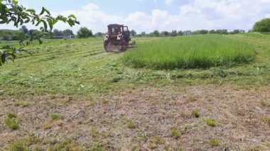 Leylek çim biçme makinesiyle çim biçerken samanlığa oturur.