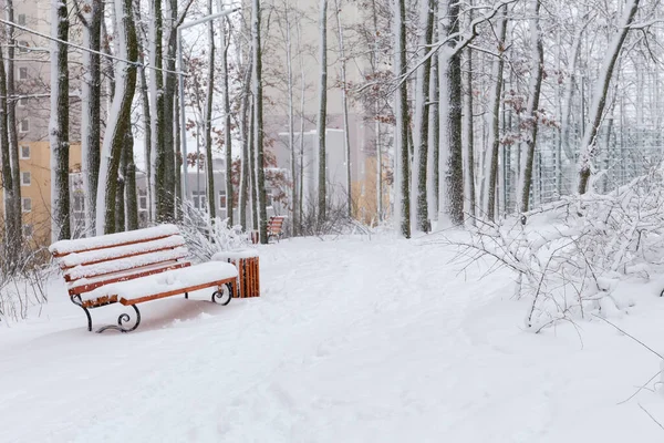 Wandelpad Tussen Oude Eiken Snowbound Park Met Houten Tuinbanken Bedekt — Stockfoto