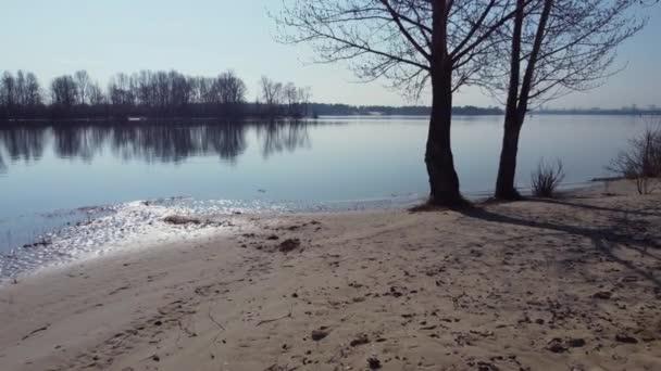 River Sandy Shore Trees Foreground Aerial View — Stock Video