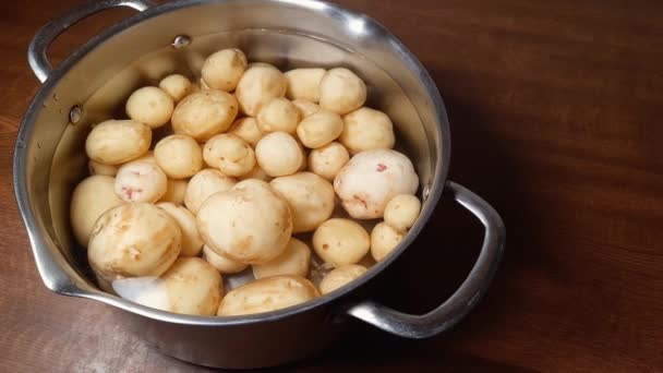 Ανοξείδωτη Κατσαρόλα Ακατέργαστες Αποφλοιωμένες Πατάτες Νερό — Αρχείο Βίντεο