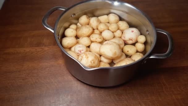 Stainless Steel Pot Raw Peeled Young Potatoes Water — Stock Video