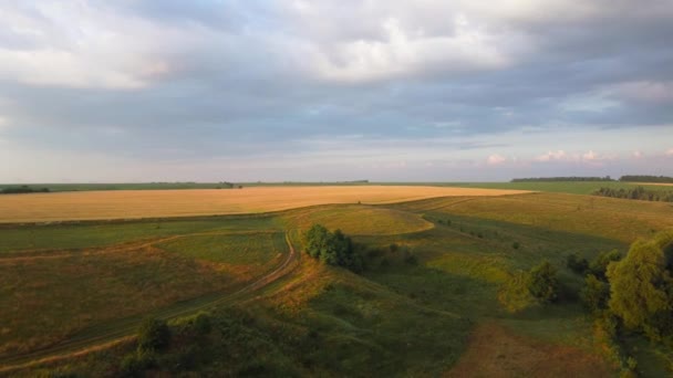 Letecký Pohled Nezralé Pšeničné Pole Svahu Údolí — Stock video