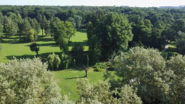 Panorama Old Park Summer Sunny Morning Aerial View — Video Stock