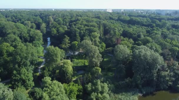 夏の晴れた朝に湖と古い公園 空中ビュー — ストック動画