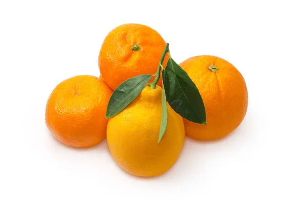 Целый Лимон Маленьких Веточках Листьями Несколько Апельсинов Мандаринов Белом Фоне — стоковое фото