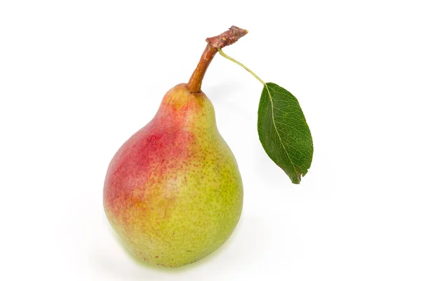 Single Ripe Red Yellow Pear Bartlett Variety Small Leaf Pear — Stock Photo, Image