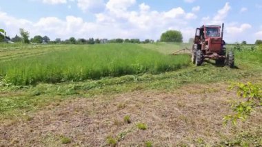 Samanlıkta traktörle çim biçme makinesiyle çim biçme