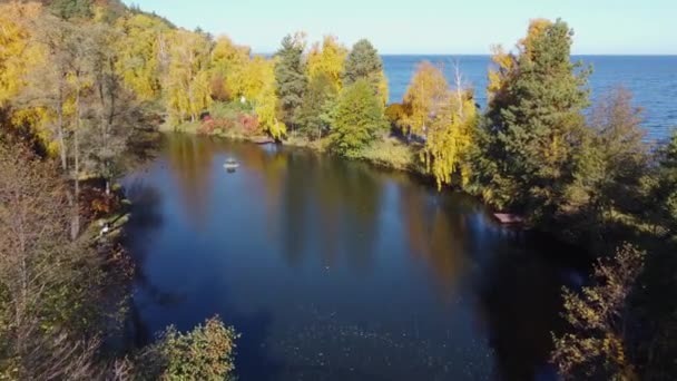 Vue Aérienne Lac Avec Passerelle Voûtée Dans Parc Automne — Video