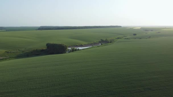 Vista Aérea Dos Campos Trigo Verde Nas Encostas Vale — Vídeo de Stock