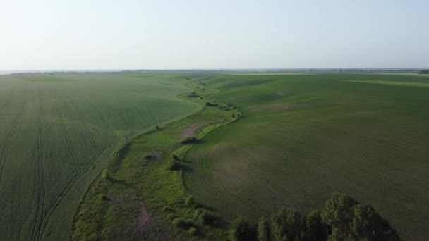 Aerial View Fields Both Slopes Valley — Video Stock