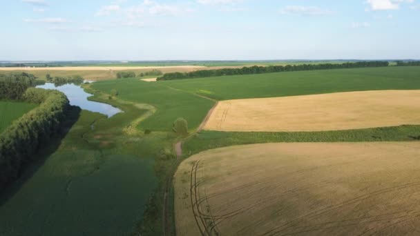 Vista Aérea Campos Declive Vale Com Lago — Vídeo de Stock