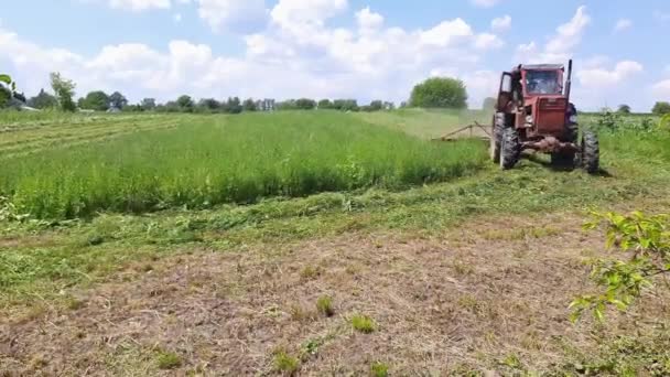 用拖拉机安装在干草场上的旋转割草机割草 — 图库视频影像