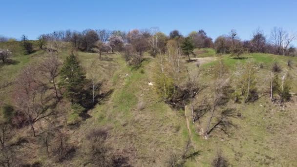 Steile Vallei Helling Begroeid Met Enkele Bomen Uitzicht Vanuit Lucht — Stockvideo