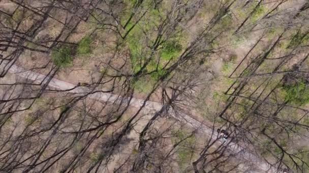 木々の間の舗装された道を持つ公園のセクション 航空ビュー — ストック動画