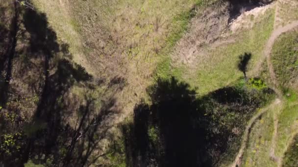 Tiefe Schlucht Mit Steilen Lehmhängen Vertikale Luftaufnahme — Stockvideo