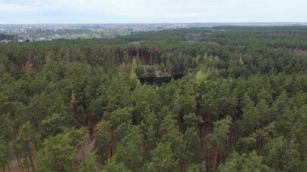 Bos Meer Met Steile Rotsachtige Oevers Lente Uitzicht Vanuit Lucht — Stockvideo