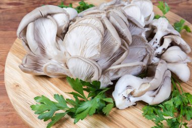 Tahta kesme tahtasının üzerinde taze maydanoz dallarıyla işlenmiş çiğ istiridye mantarları.