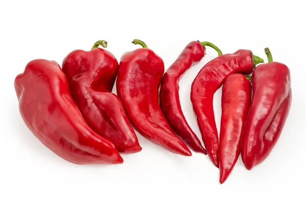 Red Pods Chili Bell Peppers Kapia Variety White Background — Stock Fotó
