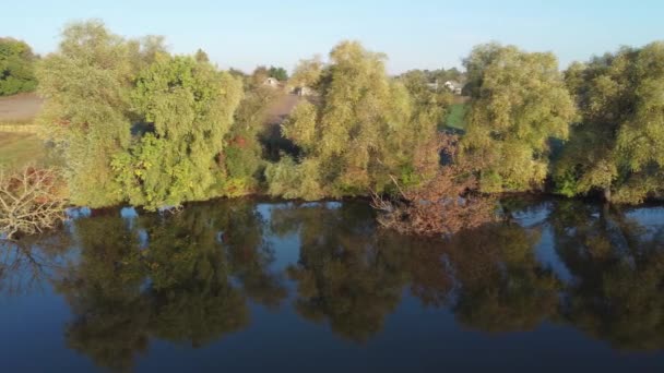 Willows Other Trees Pond Shore Aerial View — 图库视频影像