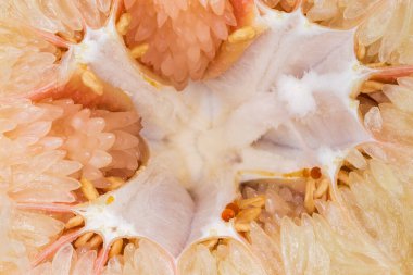 Middle part of a ripe pomelo fruit which was cut across, fragment close-up in selective focus
