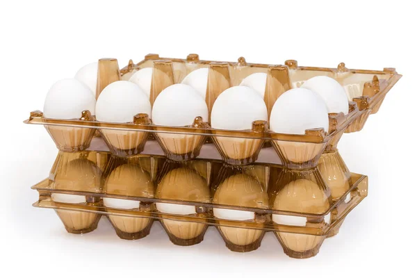 White Chicken Eggs Two Brown Plastic Transparent Disposable Egg Packaging — Fotografia de Stock