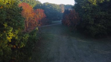 Old park in autumn frosty morning, aerial view