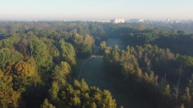 Old park in slightly foggy autumn morning, aerial view