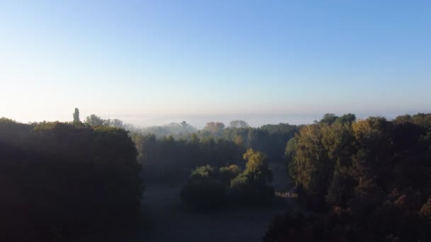 Old Park Autumn Foggy Morning Aerial View — стоковое видео