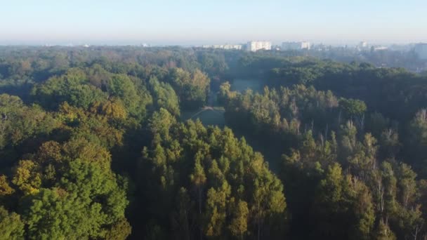 秋の古い公園少し霧の朝 空中ビュー — ストック動画