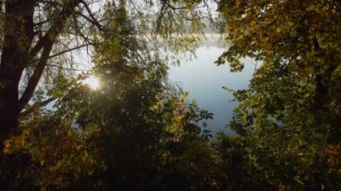 Sonbaharda ağaçların arasında sisli bir gölet.