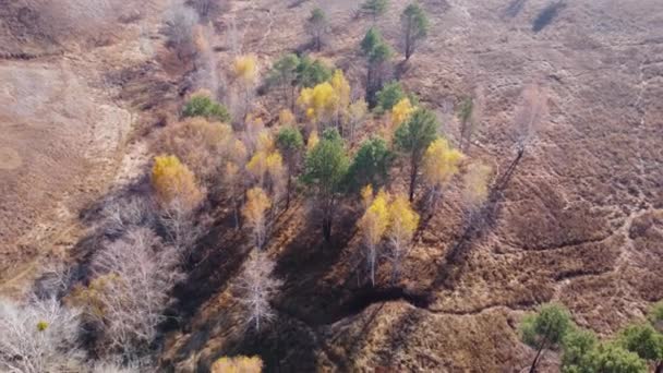 Vallei Helling Met Enkele Bomen Droog Gras Uitzicht Vanuit Lucht — Stockvideo