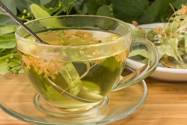 Чай Линден Цветок Прозрачной Стеклянной Чашке Чайной Ложкой Фоне Липы — стоковое фото